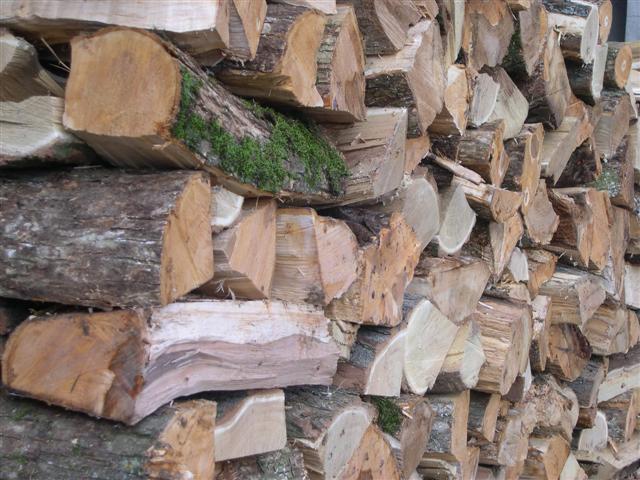 www.etablissement-ortet.com - Piles de Bois